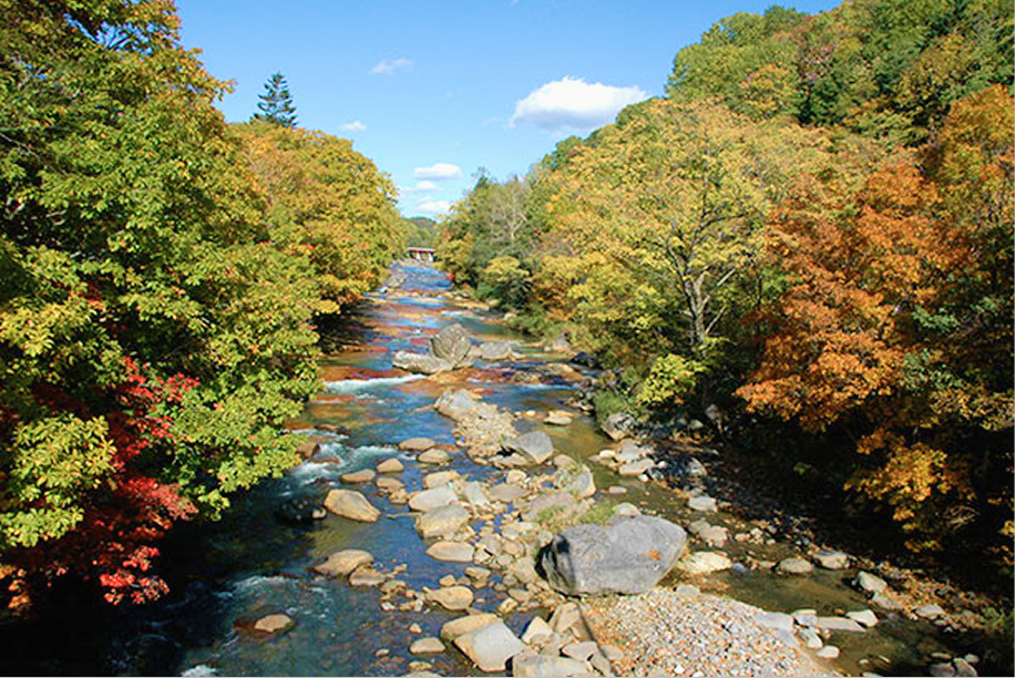 北湯沢温泉郷を彩る長流川の紅葉