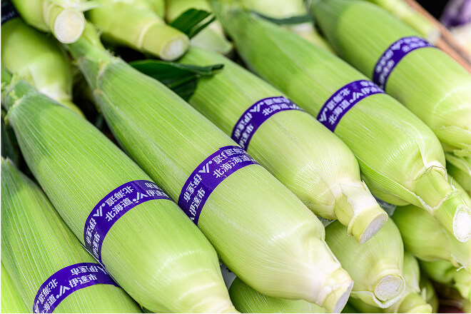鮮度抜群の季節野菜